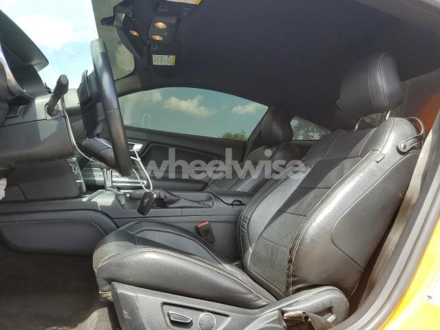 Photo 11 of 2019 FORD MUSTANG GT N/A (VIN 1FA6P8CF7K5108731)