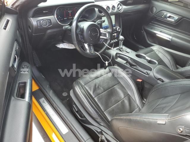 Photo 6 of 2019 FORD MUSTANG GT N/A (VIN 1FA6P8CF7K5108731)