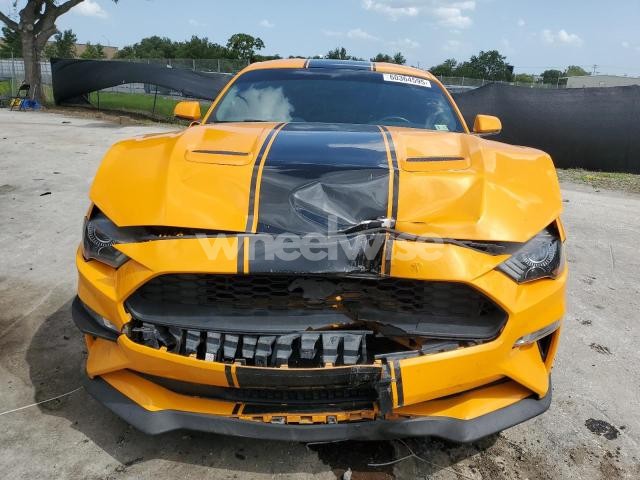 Photo 8 of 2019 FORD MUSTANG GT N/A (VIN 1FA6P8CF7K5108731)