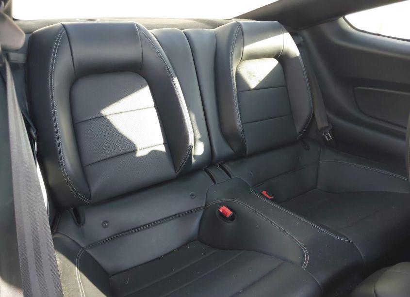 Photo 8 of 2019 Ford Mustang GT PREMIUM (VIN 1FA6P8CF7K5167343)