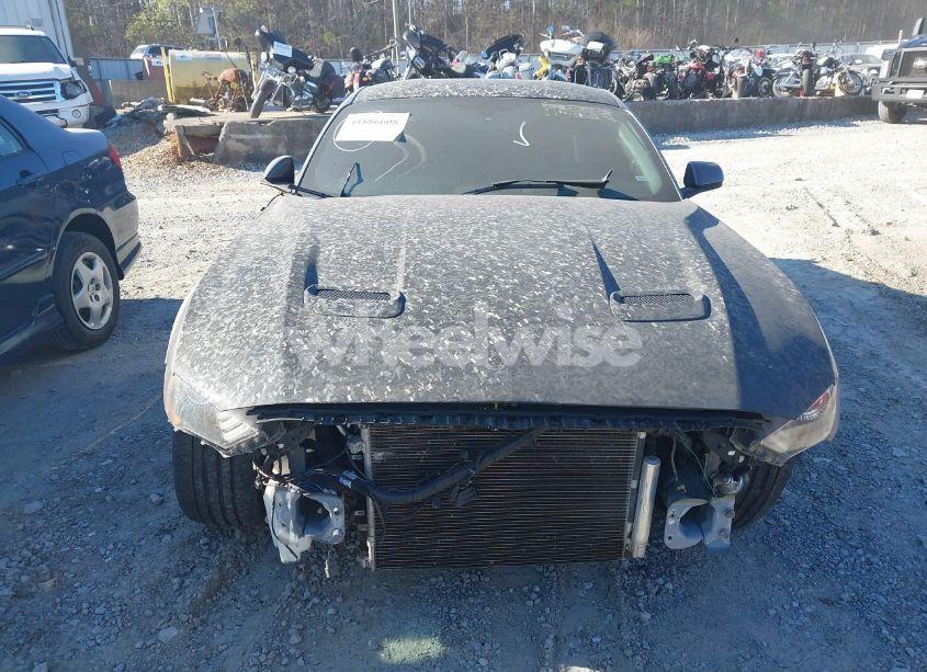 Photo 12 of 2019 Ford Mustang GT (VIN 1FA6P8CF7K5182473)