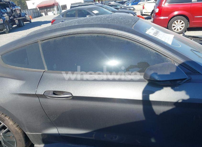 Photo 13 of 2019 Ford Mustang GT (VIN 1FA6P8CF7K5182473)