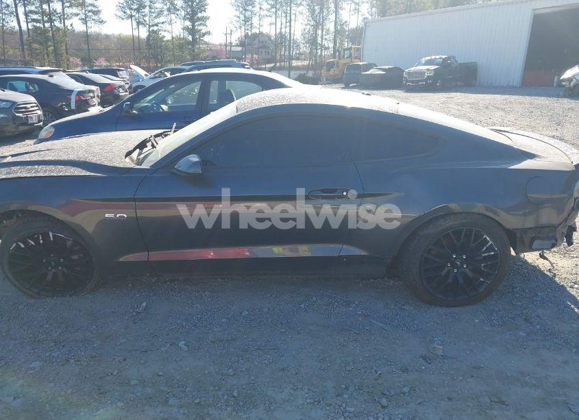 Photo 14 of 2019 Ford Mustang GT (VIN 1FA6P8CF7K5182473)