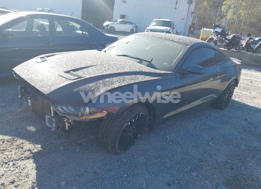 Photo 2 of 2019 Ford Mustang GT (VIN 1FA6P8CF7K5182473)