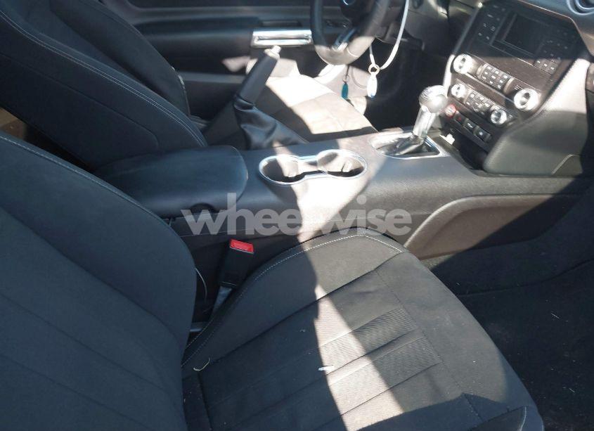 Photo 5 of 2019 Ford Mustang GT (VIN 1FA6P8CF7K5182473)