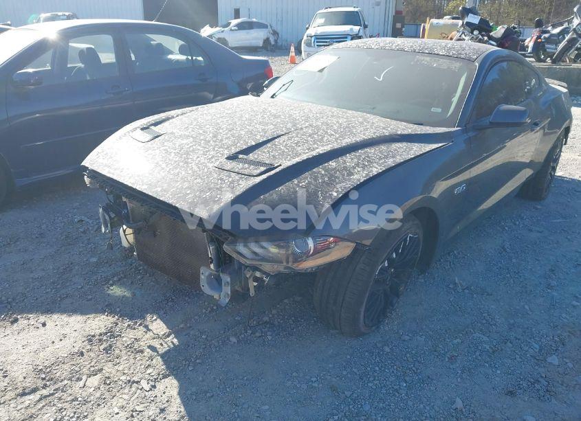Photo 6 of 2019 Ford Mustang GT (VIN 1FA6P8CF7K5182473)