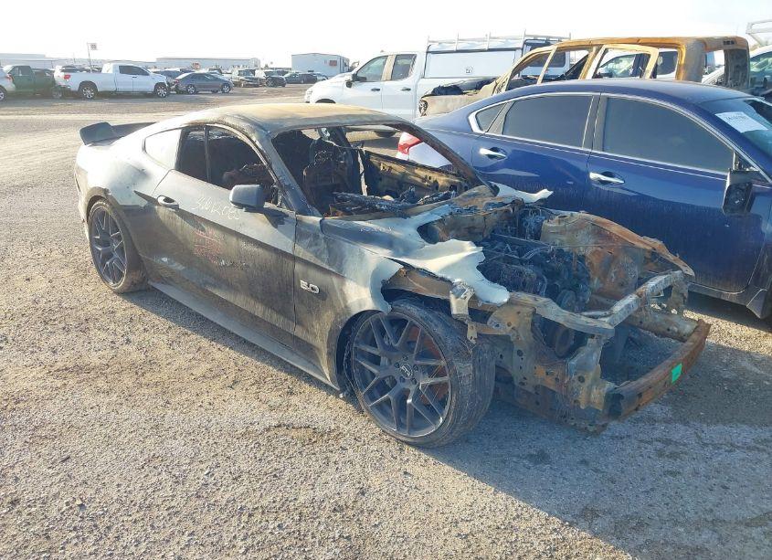 2019 Ford Mustang GT (VIN 1FA6P8CF7K5182683) main photo