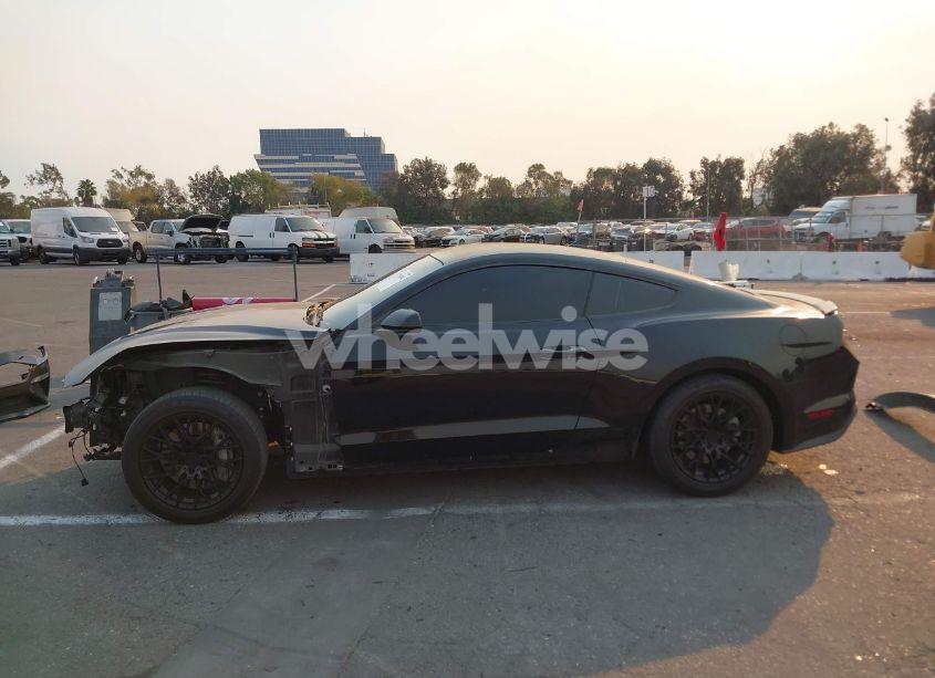 Photo 15 of 2020 Ford Mustang GT FASTBACK (VIN 1FA6P8CF7L5186203)