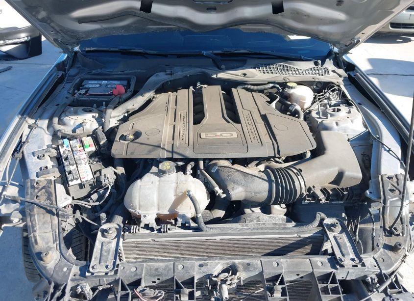 Photo 10 of 2021 Ford Mustang GT FASTBACK (VIN 1FA6P8CF7M5152506)