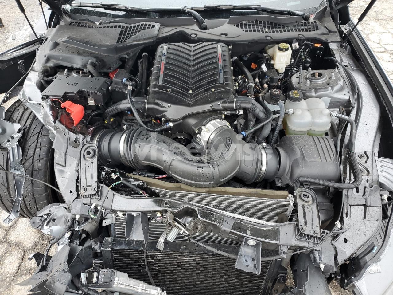 Photo 11 of 2024 FORD MUSTANG GT (VIN 1FA6P8CF7R5400633)