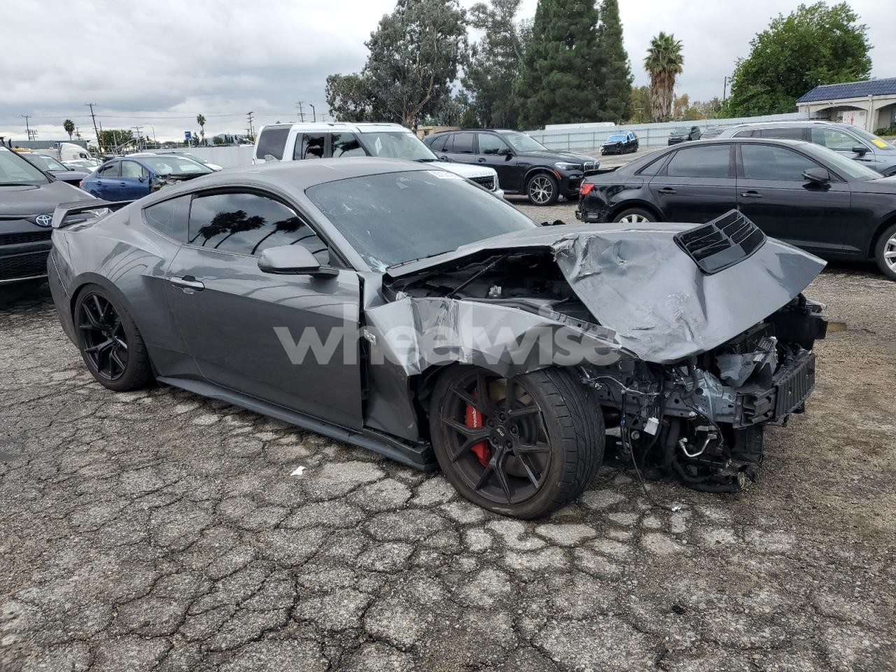 Photo 4 of 2024 FORD MUSTANG GT (VIN 1FA6P8CF7R5400633)