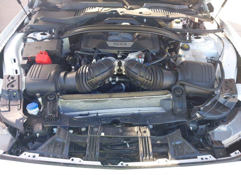 Photo 10 of 2024 Ford Mustang GT PREMIUM FASTBACK (VIN 1FA6P8CF7R5400731)