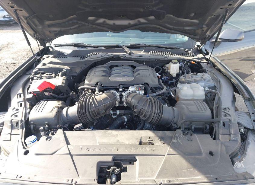 Photo 10 of 2024 Ford Mustang GT FASTBACK (VIN 1FA6P8CF7R5420963)