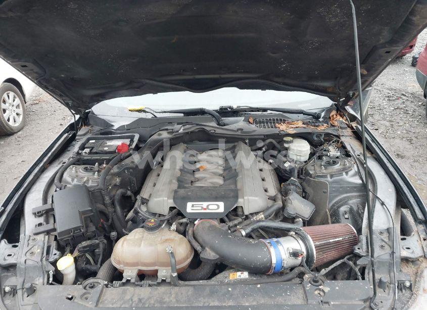 Photo 10 of 2016 Ford Mustang GT (VIN 1FA6P8CF8G5317273)