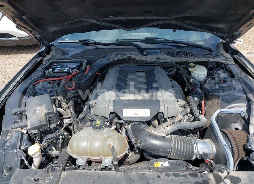 Photo 10 of 2017 Ford Mustang GT (VIN 1FA6P8CF8H5265418)