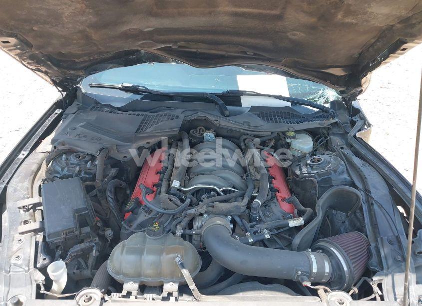 Photo 10 of 2017 Ford Mustang GT (VIN 1FA6P8CF8H5272059)