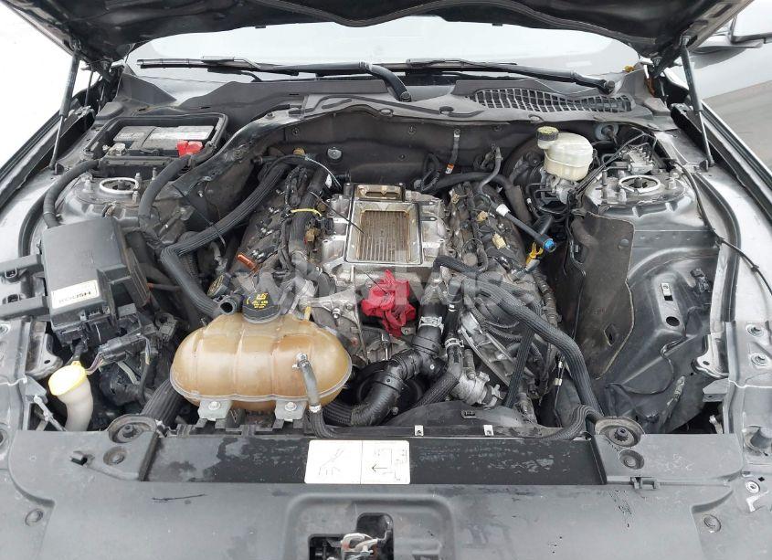 Photo 10 of 2017 Ford Mustang GT (VIN 1FA6P8CF8H5289864)