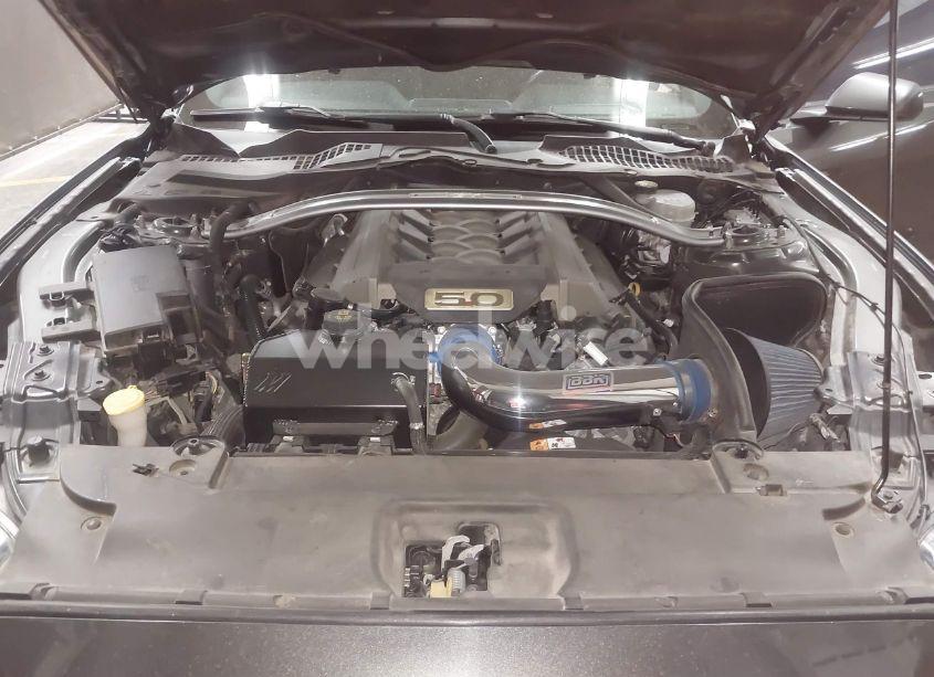 Photo 10 of 2017 Ford Mustang GT (VIN 1FA6P8CF8H5302998)