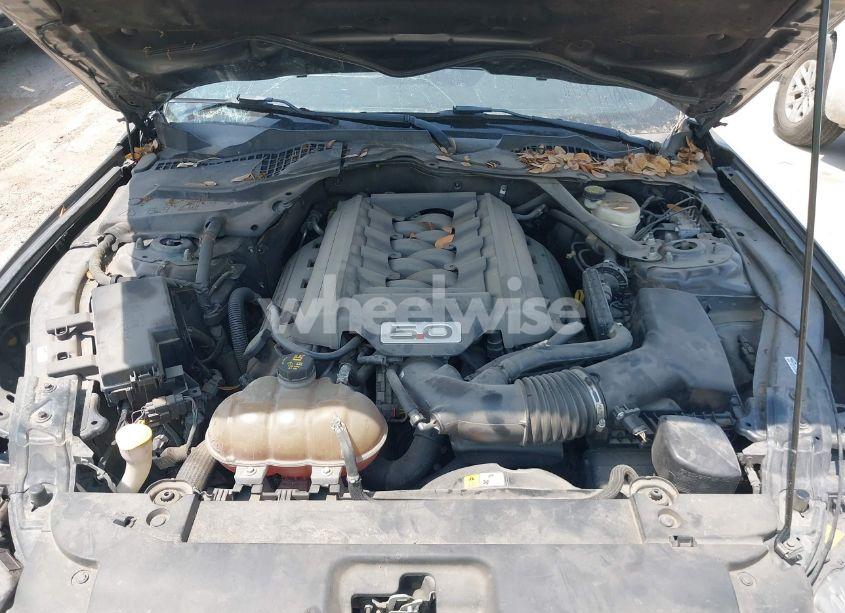 Photo 10 of 2017 Ford Mustang GT PREMIUM (VIN 1FA6P8CF8H5306405)