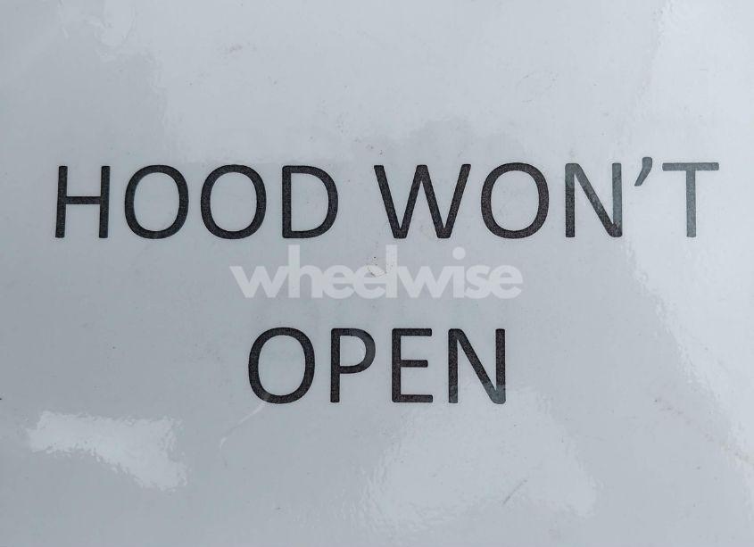 Photo 10 of 2017 Ford Mustang GT (VIN 1FA6P8CF8H5332597)