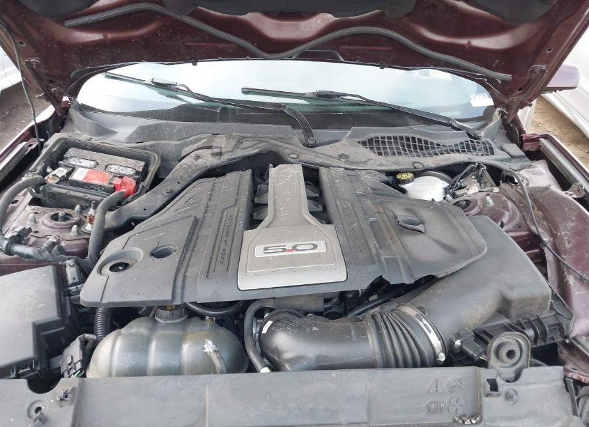 Photo 10 of 2018 Ford Mustang GT (VIN 1FA6P8CF8J5138285)