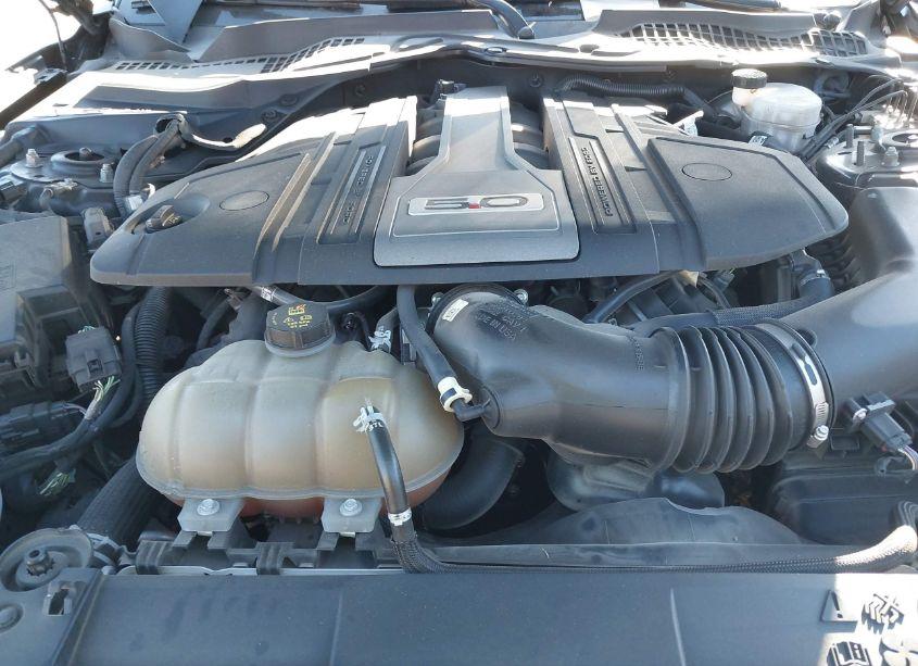 Photo 10 of 2018 Ford Mustang GT (VIN 1FA6P8CF8J5161937)