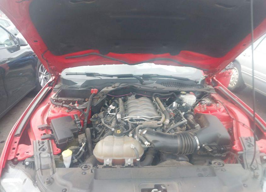 Photo 10 of 2018 Ford Mustang GT (VIN 1FA6P8CF8J5179872)