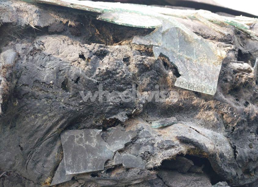 Photo 15 of 2020 Ford Mustang GT FASTBACK (VIN 1FA6P8CF8L5174979)