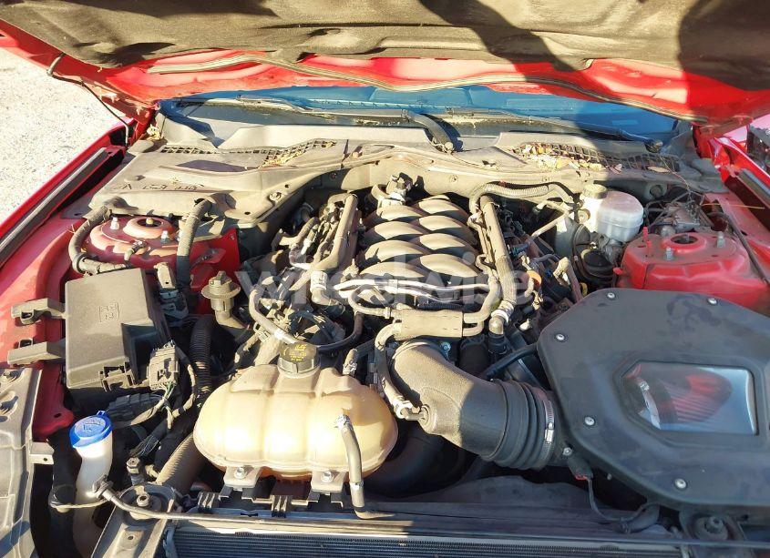 Photo 10 of 2021 Ford Mustang GT FASTBACK (VIN 1FA6P8CF8M5102178)