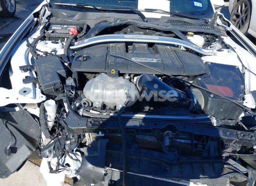 Photo 10 of 2021 Ford Mustang GT PREMIUM FASTBACK (VIN 1FA6P8CF8M5156290)