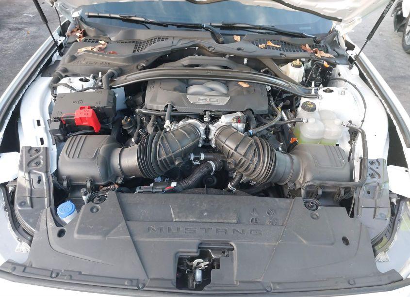 Photo 10 of 2024 Ford Mustang GT PREMIUM (VIN 1FA6P8CF8R5416243)