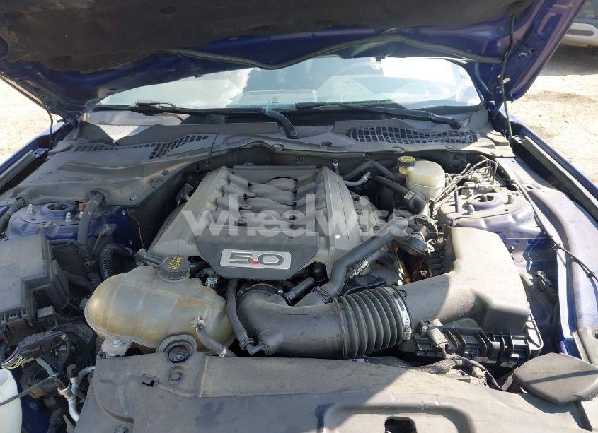 Photo 10 of 2016 Ford Mustang GT (VIN 1FA6P8CF9G5210085)