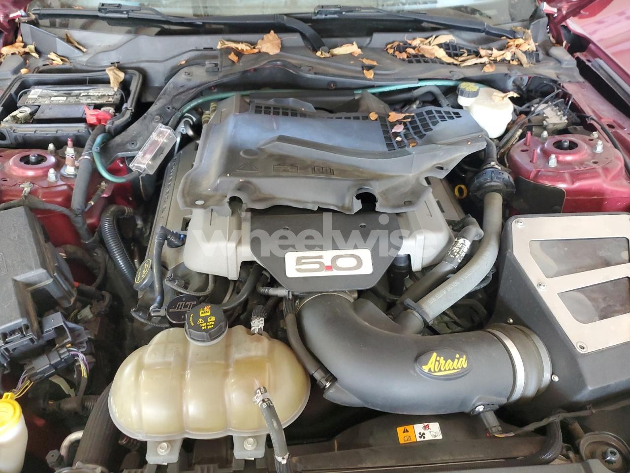 Photo 11 of 2017 FORD MUSTANG GT (VIN 1FA6P8CF9H5319521)