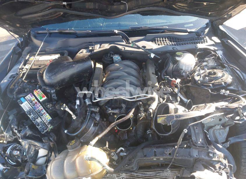 Photo 10 of 2018 Ford Mustang GT (VIN 1FA6P8CF9J5120555)