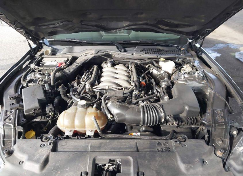 Photo 10 of 2018 Ford Mustang GT PREMIUM (VIN 1FA6P8CF9J5143771)