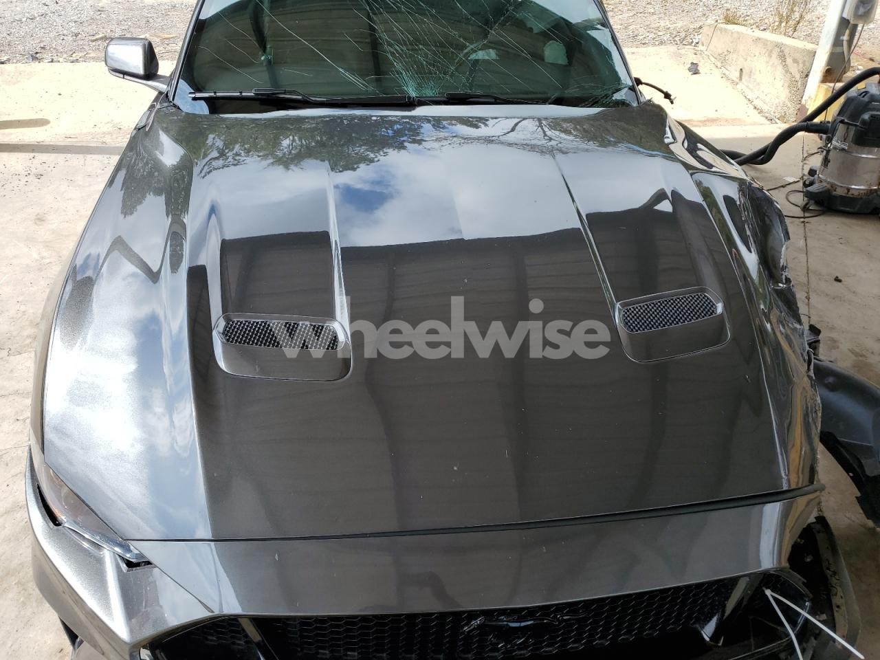 Photo 11 of 2018 FORD MUSTANG GT (VIN 1FA6P8CF9J5159291)