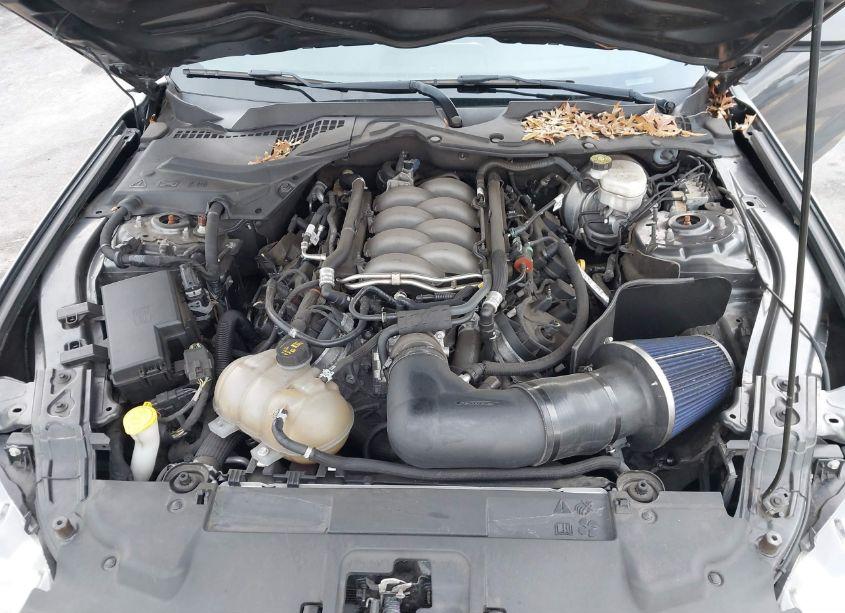 Photo 10 of 2018 Ford Mustang GT (VIN 1FA6P8CF9J5161641)