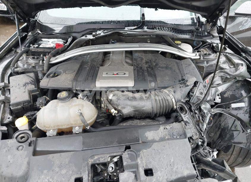 Photo 10 of 2019 Ford Mustang GT (VIN 1FA6P8CF9K5106575)