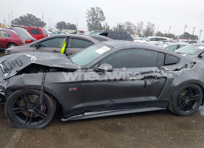 Photo 14 of 2019 Ford Mustang GT (VIN 1FA6P8CF9K5106575)