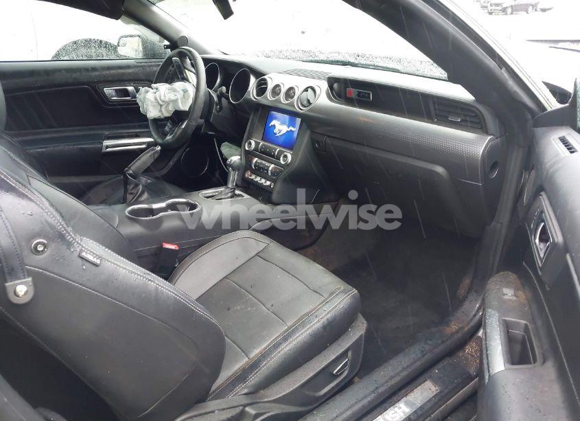 Photo 5 of 2019 Ford Mustang GT (VIN 1FA6P8CF9K5106575)