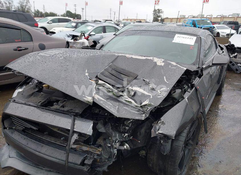 Photo 6 of 2019 Ford Mustang GT (VIN 1FA6P8CF9K5106575)