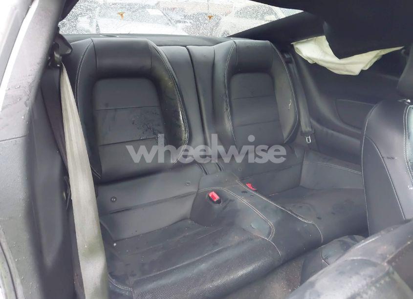 Photo 8 of 2019 Ford Mustang GT (VIN 1FA6P8CF9K5106575)