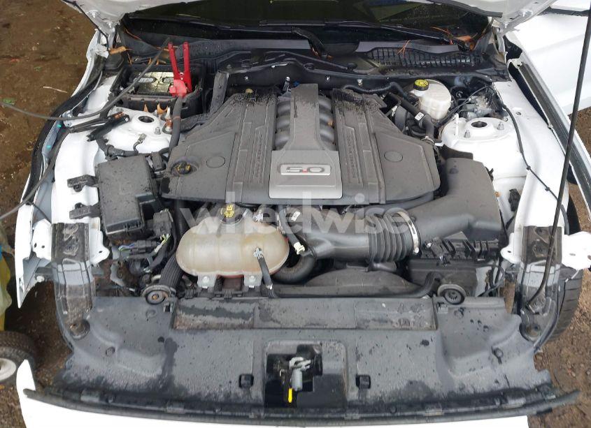 Photo 10 of 2019 Ford Mustang GT PREMIUM (VIN 1FA6P8CF9K5118581)