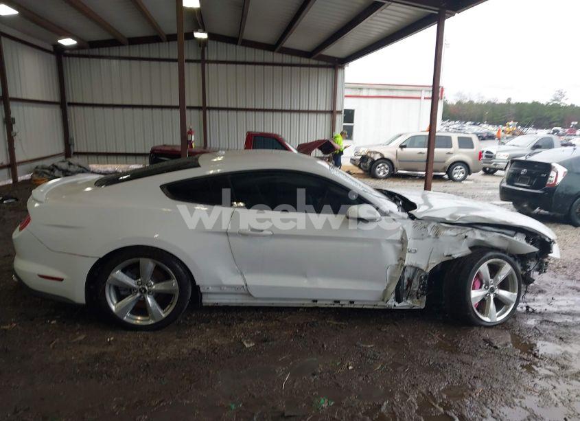 Photo 14 of 2019 Ford Mustang GT PREMIUM (VIN 1FA6P8CF9K5118581)