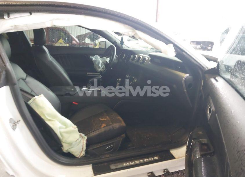 Photo 5 of 2019 Ford Mustang GT PREMIUM (VIN 1FA6P8CF9K5118581)