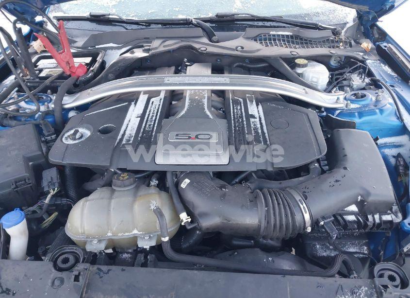 Photo 10 of 2019 Ford Mustang GT (VIN 1FA6P8CF9K5121996)