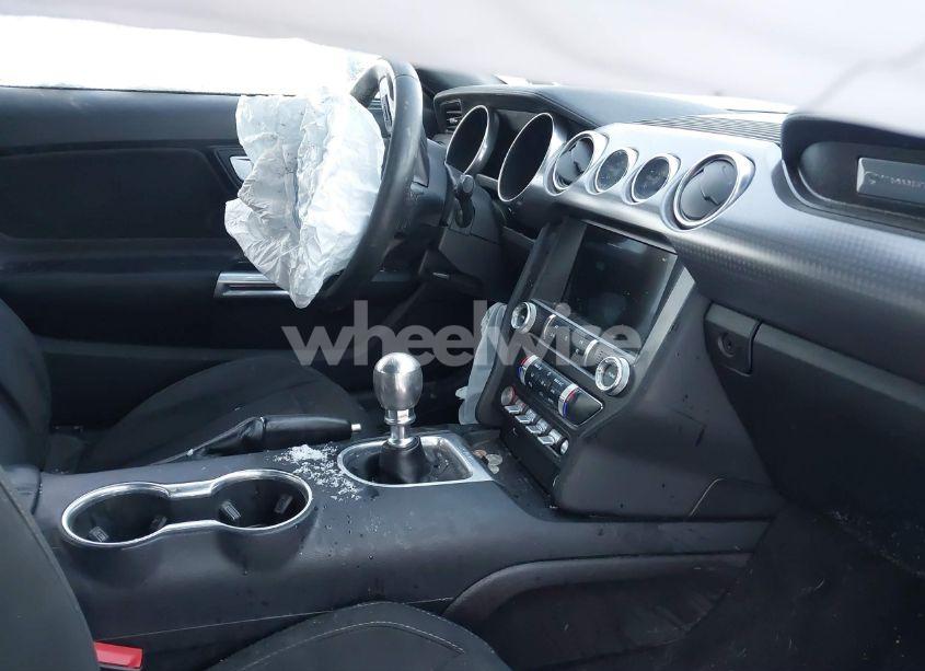 Photo 5 of 2019 Ford Mustang GT (VIN 1FA6P8CF9K5121996)