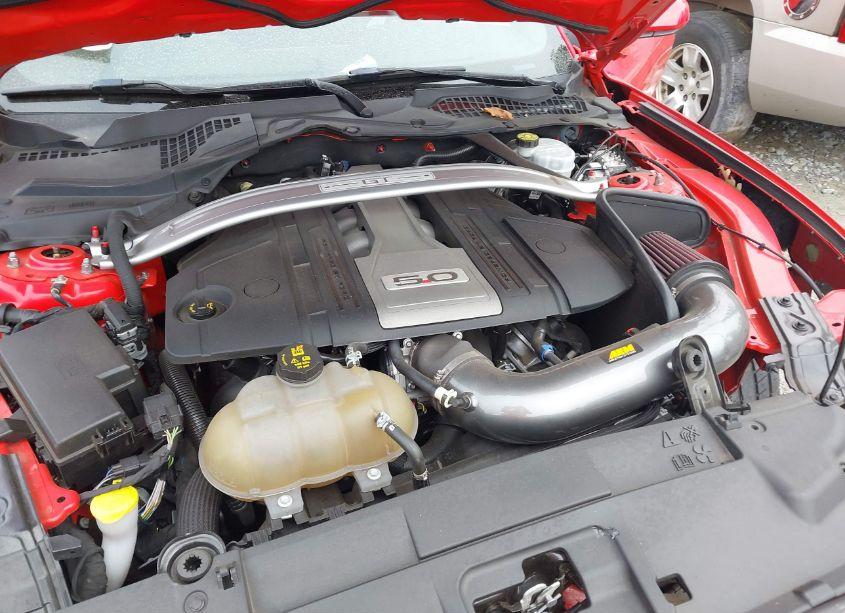 Photo 10 of 2019 Ford Mustang GT (VIN 1FA6P8CF9K5184502)