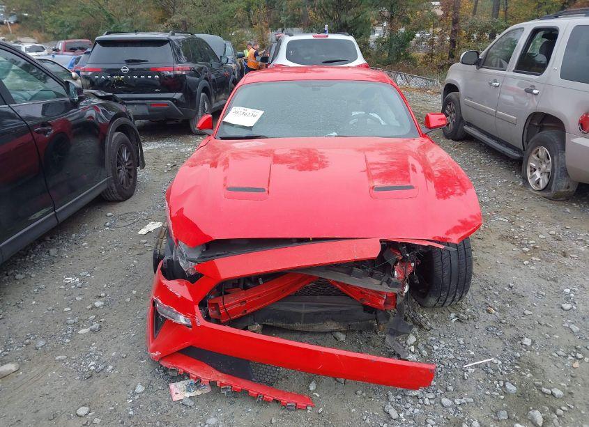 Photo 12 of 2019 Ford Mustang GT (VIN 1FA6P8CF9K5184502)