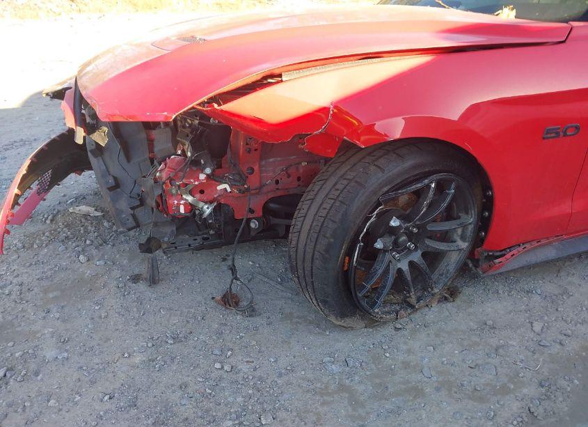 Photo 17 of 2019 Ford Mustang GT (VIN 1FA6P8CF9K5184502)